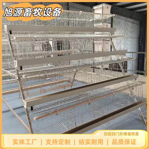 镀锌工艺养鸡笼4层4门阶梯蛋鸡笼A型笼可零售