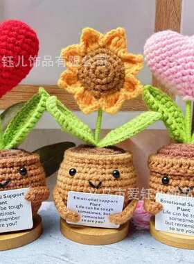 Handmand Emotionlal Support Plant Gift手工编织积极的植物盆栽