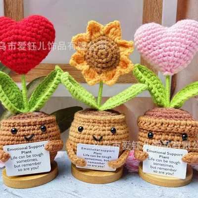 Handmand Emotionlal Support Plant Gift手工编织积极的植物盆栽