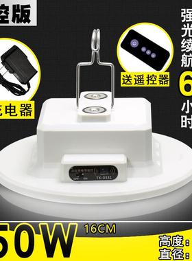 泰电中星15W遥控充灯地泡夜0市摊灯露营66814灯摆摊灯led灯泡高亮