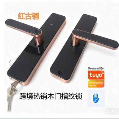 通通智能锁室内木门指纹锁民宿密码锁TTLOCK公寓木门智能门锁