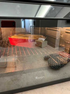 意大利 DAOGRS G7蒸烤箱真实使用8个月评价，写个新手的提醒