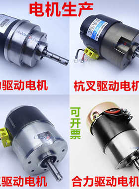 电动叉车驱动电机 中力诺力合力金刚搬运叉车行走电机24V650W750W