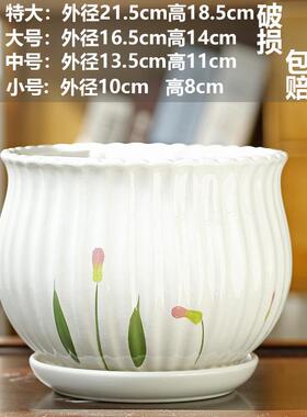 TEMU蝴蝶兰花盆陶瓷清仓大号花瓶