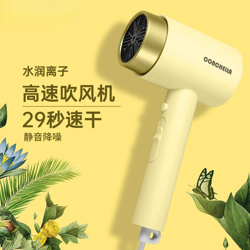 电吹风机头发不伤发学生宿舍电吹风家用负离子静音速干厂一件批发