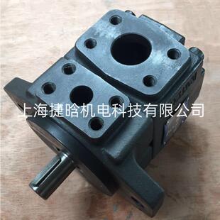 E50 E40 E63 E80 定量叶片泵 HONGTAII油泵 E100