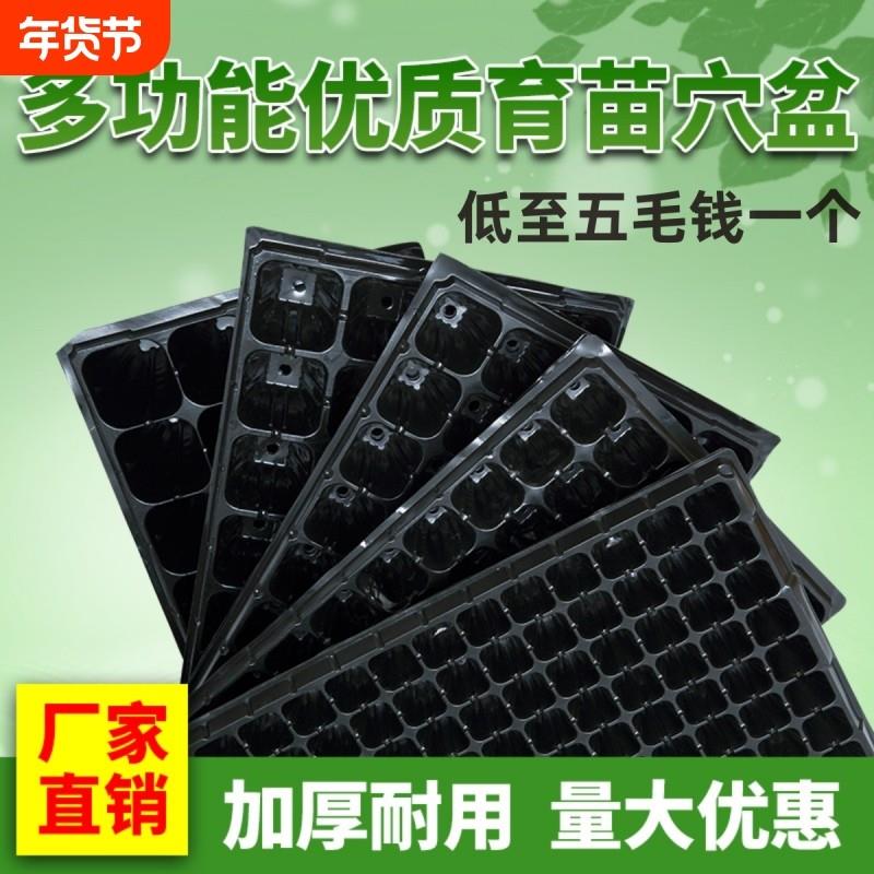 育苗穴盘育苗盘育苗杯塑料营养鉢多肉蔬菜草莓苗木育苗器扦插发芽