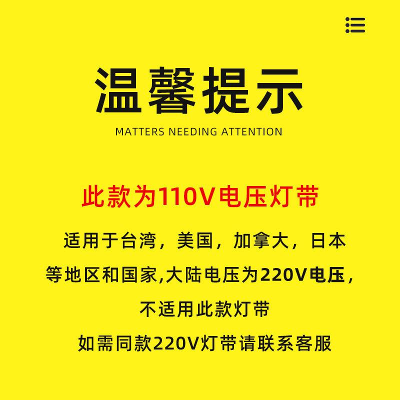 led柔性软灯带110V台湾美国七彩遥控变色户外防水5050彩色高亮RGB