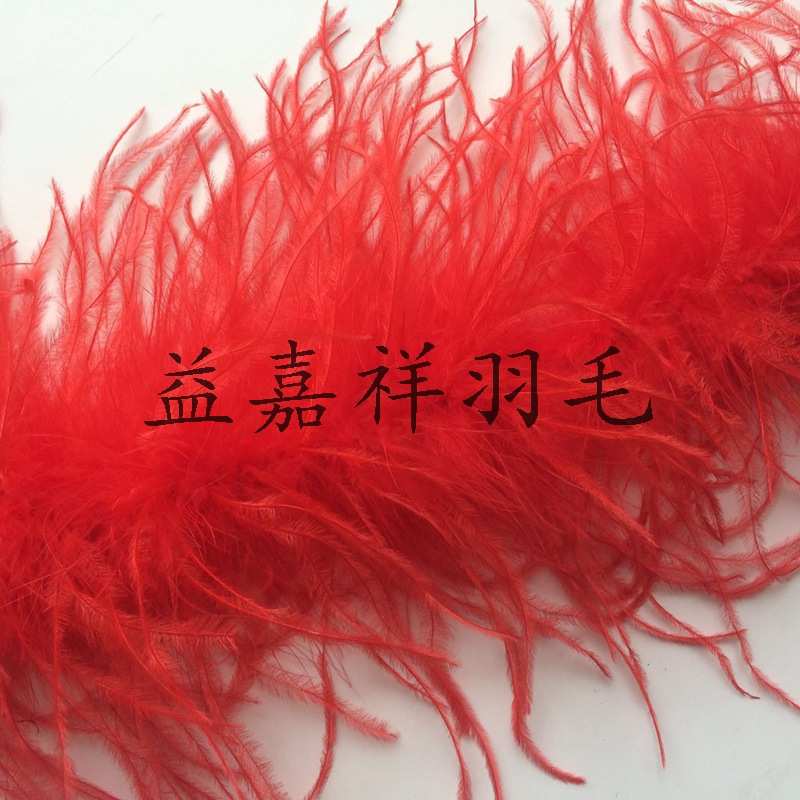 服装纺织辅料两层鸵鸟羽毛条 双层鸵鸟丝毛条