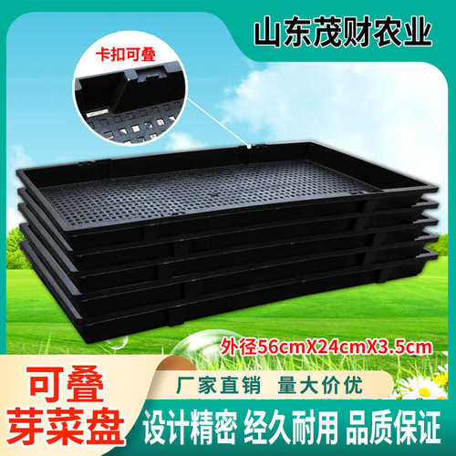 芽苗菜种植盘 加厚育苗盘豌豆苗小麦草育苗托盘58x25x3.5 300克