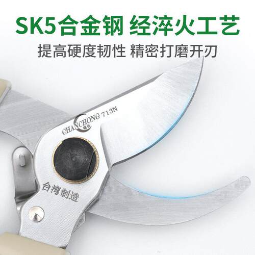 蟾虫713N园艺进口修枝剪树枝剪刀果树修枝园林剪刀专用剪盆景剪刀