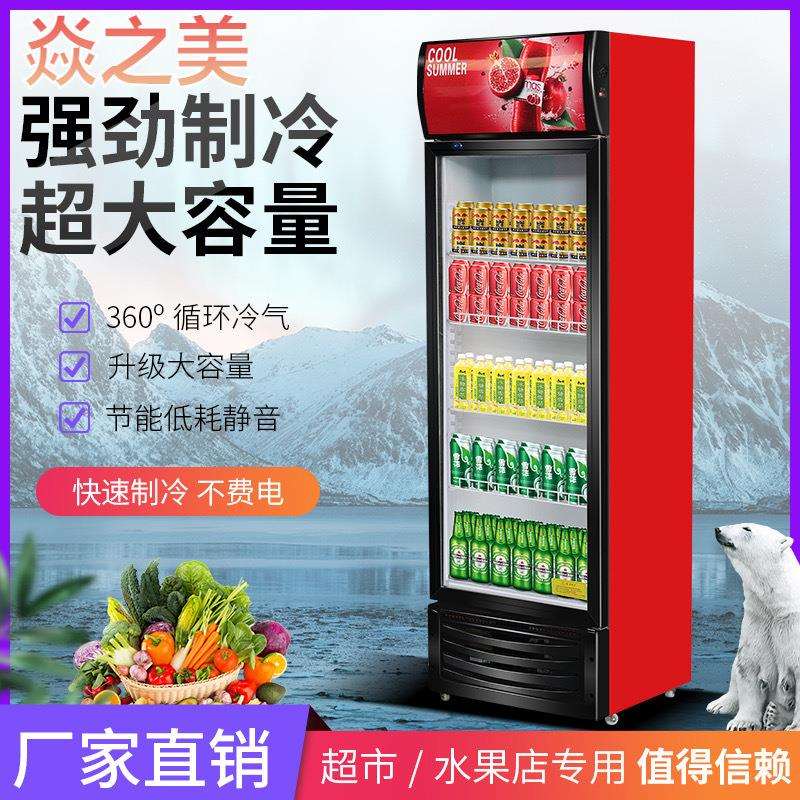 冷藏单门饮料柜商用外贸双开门立式水果啤酒冰柜冰箱超市展示柜