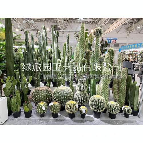 新款沙漠系列仙人掌仙人柱仙人球热带沙漠量天尺植物盆