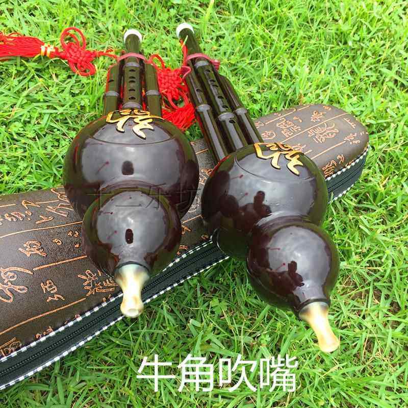 高档云南双音胶木树脂葫芦丝乐器吹专卖C调 学降b调调乐器a初送嘴