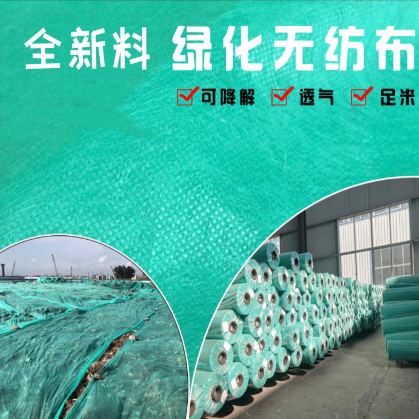 园林绿化绿色不织布植草布护坡植草盖土防尘毛毯透水草籽覆盖膜