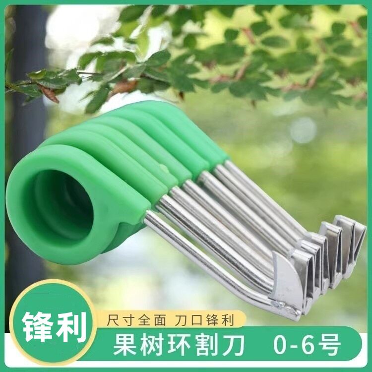 柚子柑橘果树剥皮园艺用品套装
