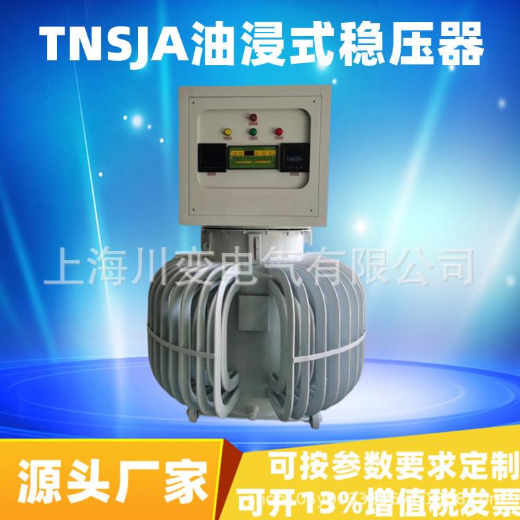 三相油浸式感应稳压器TNSJA-100KVA隧道矿井机械无触点升压稳压器 - 实物图