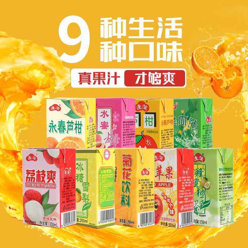 逢滢永春芦柑果味饮料鸿源冬瓜茶蔬菜汁饮品 250ml 包邮