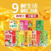 包邮 逢滢永春芦柑果味饮料鸿源冬瓜茶蔬菜汁饮品 250ml