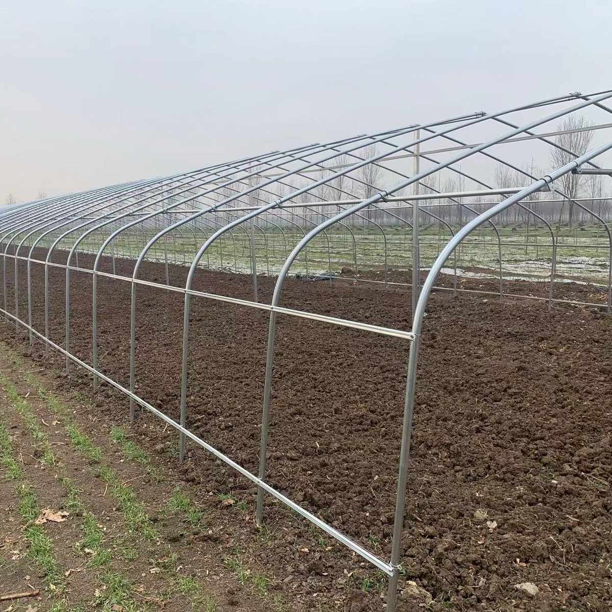 大棚蔬菜大棚养殖大棚大棚骨架养鸡大棚大棚配件温室大棚养殖大棚