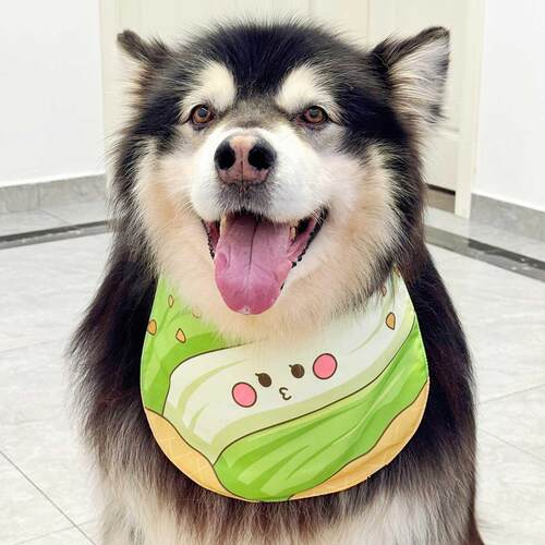 原创夏季冰淇淋系列狗围嘴宠物围嘴中型和大型狗金毛猎犬阿拉善萨