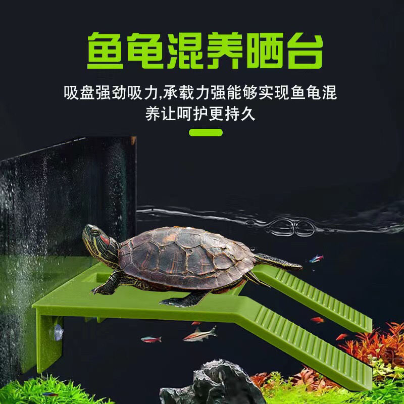 乌龟晒台巴西其它水族用具设备