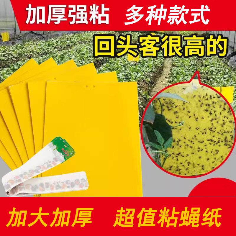 【加厚】粘虫板黄板双面小飞虫灭杀大棚灭苍蝇贴纸果园果蝇蚊子诱