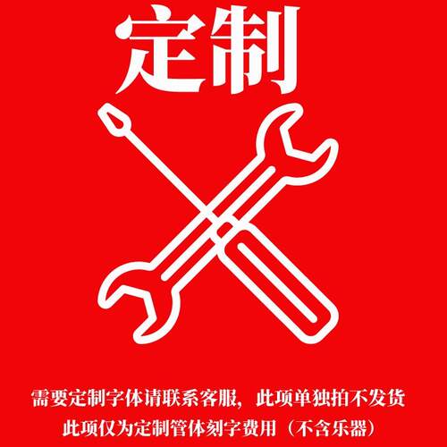 高档雅 菲尔纯乌木簧管 降B调乌木黑管乐器17键乌木初学考级单演