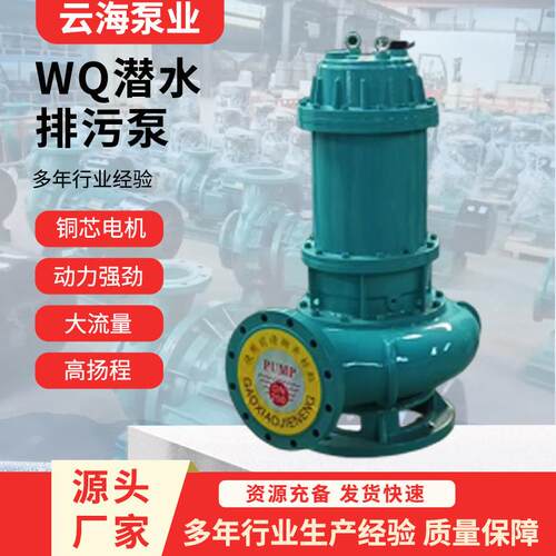WQ潜水排污泵污水泵WQ污水泵潜污泵QW污水泵地下室排水泵排污泵