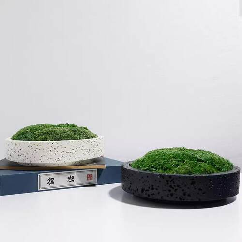 简约现代黑色花盆摆件仿真青苔绿植装饰客厅桌面酒店永生苔藓摆件