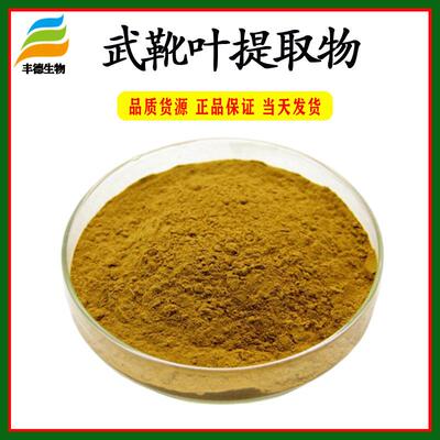 武靴叶提取物武靴藤酸25%匙羹藤提取物匙羹藤酸现货供应