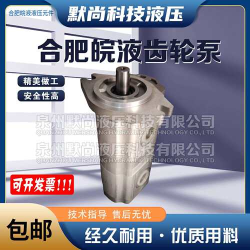 合肥皖液齿轮泵CBSL-G25/G19 G25/G23 G25/G25 G28/G28-AF 双联泵