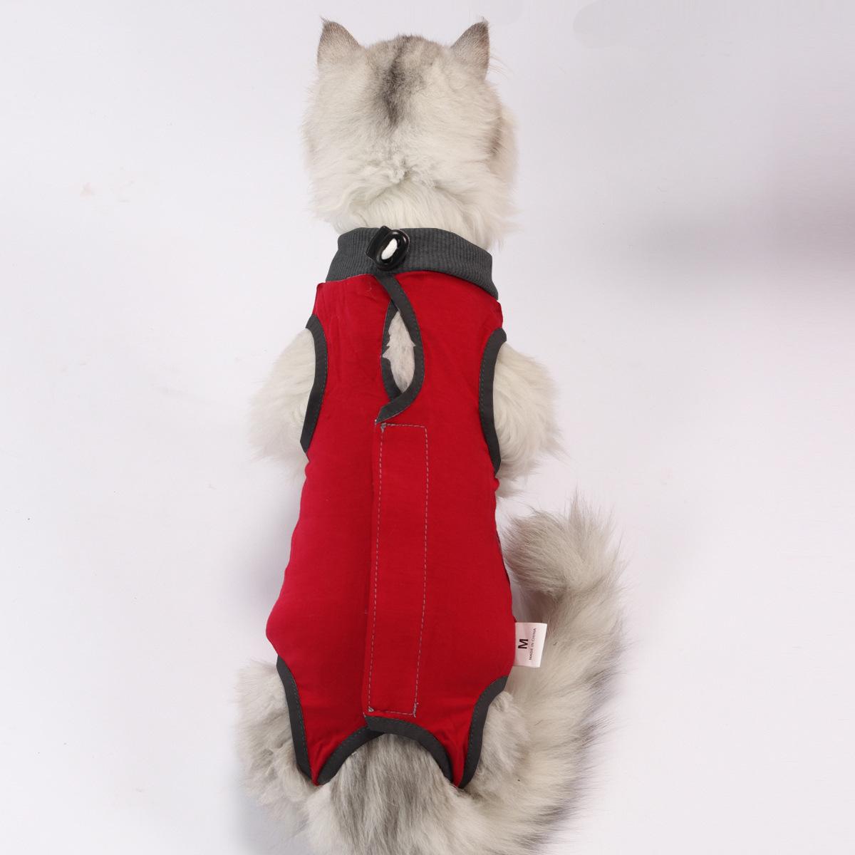 宠物猫手术绝育生理恢复母猫雨衣