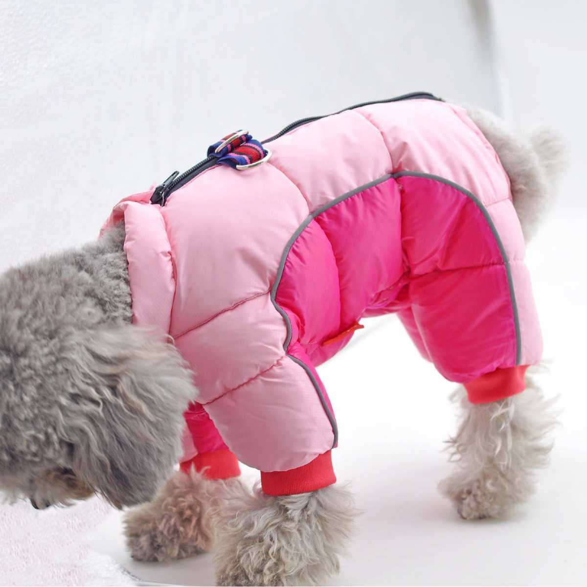 新款狗狗衣服冬装宠物泰迪比熊四脚衣秋款小型犬雪纳瑞幼犬的棉服,宠物/宠物食品及用品,狗宠物服装/雨衣,淘宝优惠券,粉丝福利购,淘宝优惠卷