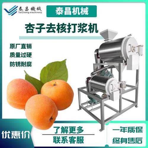 大型枇杷杏子去核打浆机工业去核黄杏深加工机器杏子预煮打浆设备