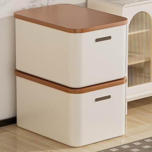Desktop organizer storage box for small items and snacks, re