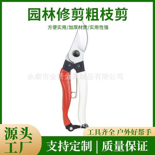 果树剪刀树枝修枝剪园艺剪修花工具疏果园林修剪粗枝剪