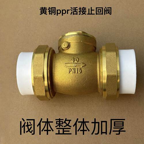 ppr止回阀黄铜止逆阀20双活接25止水阀32ppr水管热熔4分6分1寸40