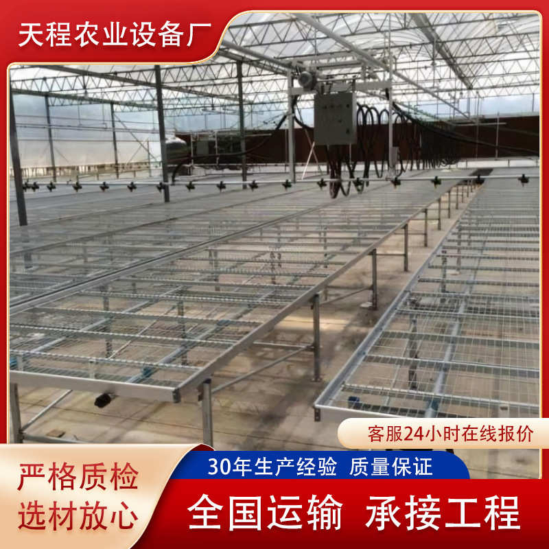 安平镀锌钢管 温室大棚果蔬种植可移动育苗床苗床网 河北天程