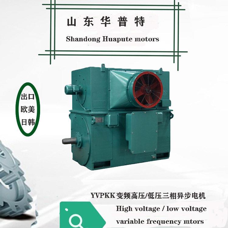 出口欧美日韩YVP/YVP/YPTQ压变频调速电机900w山东