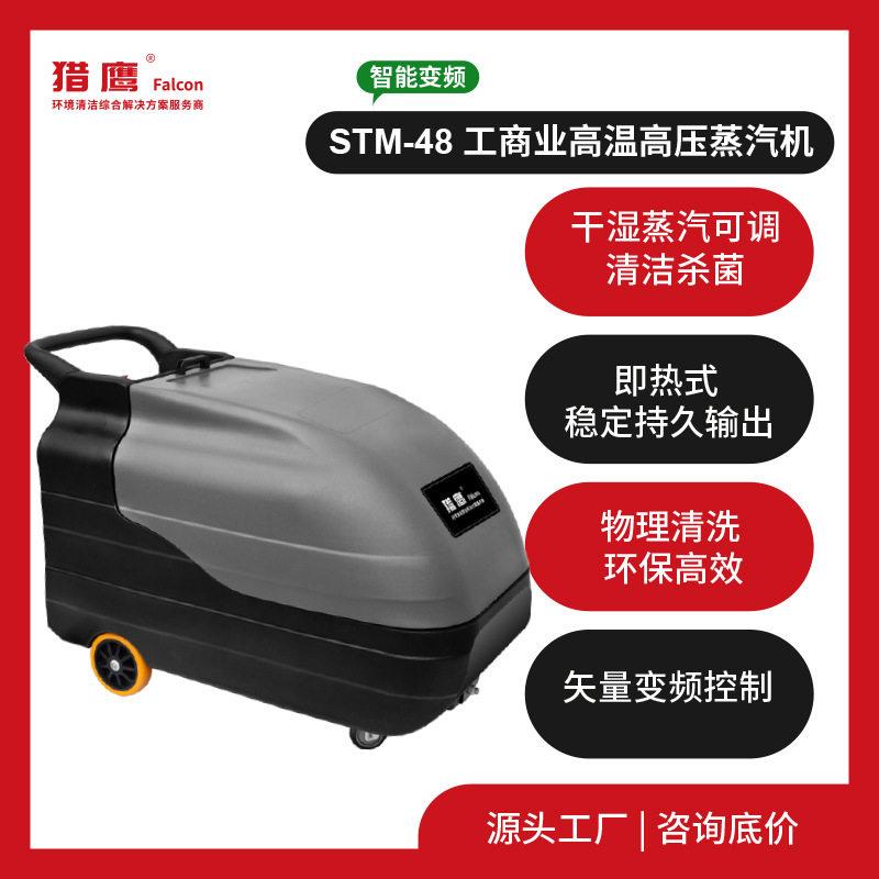 猎鹰 工业级电加热纯蒸汽清洗机温干饱和蒸汽180℃可调环保清洗