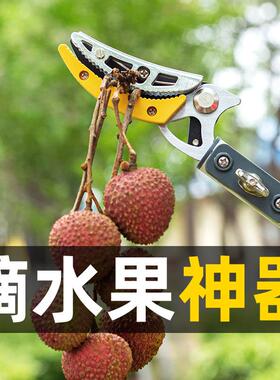 摘果神器伸缩杆高空采摘果子高枝剪摘水果荔枝杨梅龙眼摘果器剪刀