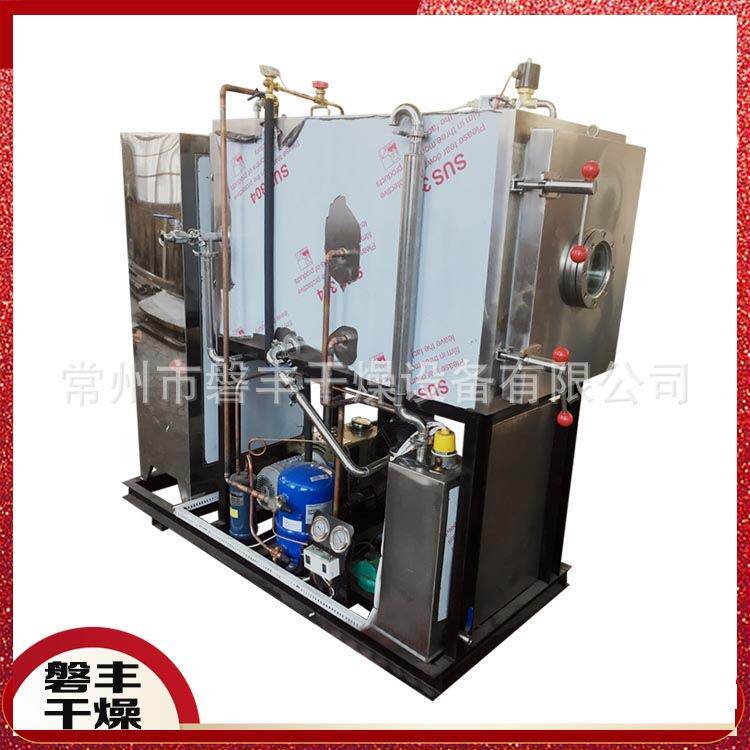 食品低温冻干机 水果干燥机冻干 蔬菜水果干燥机 真空冷冻干燥机