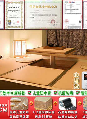 和电热他棕芯塔米积榻榻米3e他床垫目加热垫席地定垫塔米盛唐风