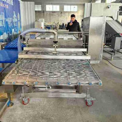 全自动鱼块上机鱼休闲浆食品鱼排类VIJ浸浆机薯鳕条奶香片浸浆机