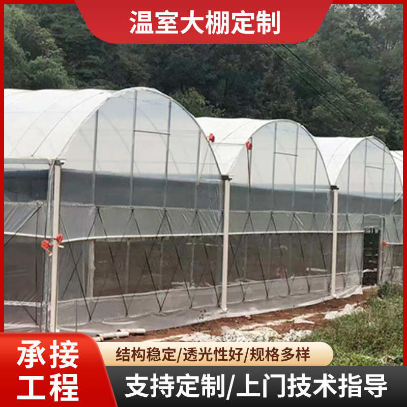 连体温室大棚农业花卉种植钢结构大棚骨架养鸡养鸭养猪保温大棚