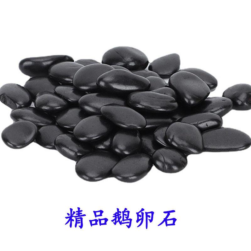 黑色抛光鹅卵石头 彩色雨花石 鹅卵石家装园林景观铺路工程