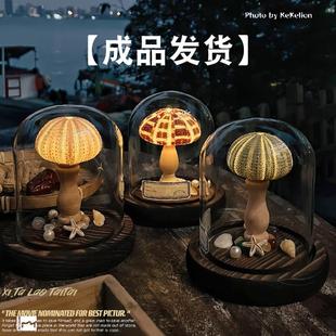 【成品】海螺小夜灯天然贝壳海胆小夜灯高级感氛围感创意卧室摆件