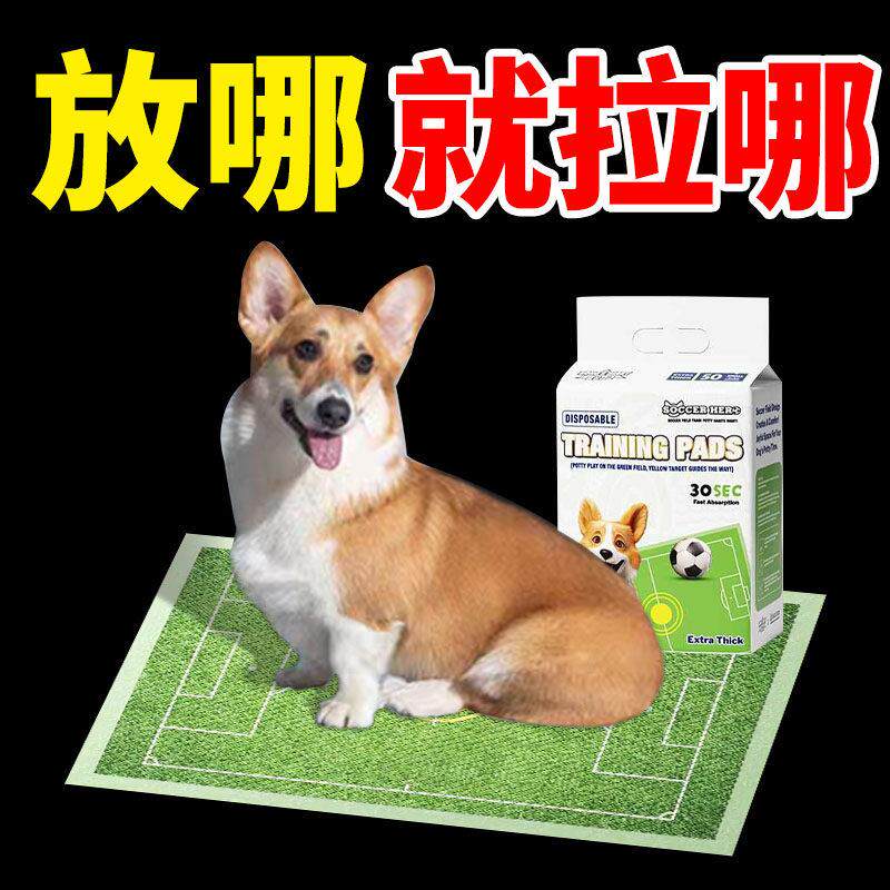 德系工艺狗狗尿垫引导上厕所靶心诱导小狗定点宠物隔尿除臭味加厚