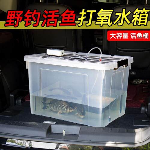车载活鱼箱车装鱼箱后备箱钓用增氧鱼箱桶带充氧泵塑料pp打氧箱